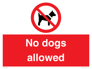 No dogs allowed